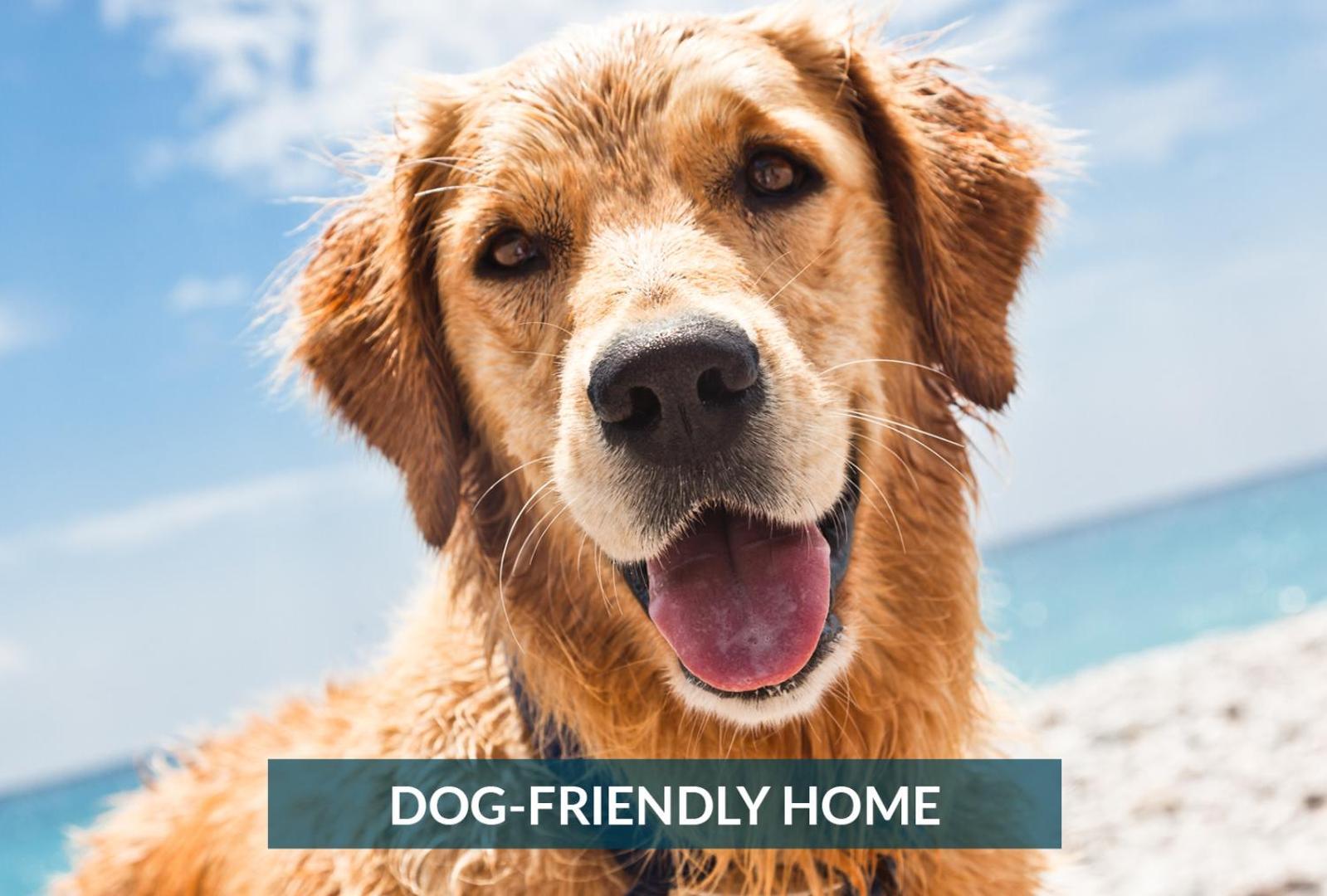 4011 The Dogs House 2 Min Walk To Beach Kitty Hawk Luaran gambar